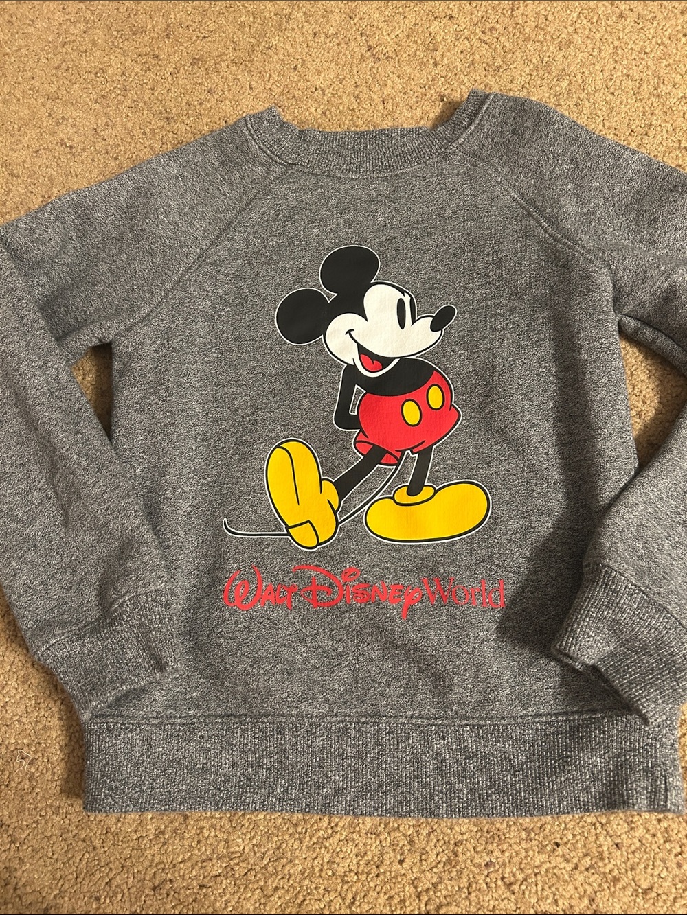 Disney parks Walt Disney World Gray Sweatshirt with Classic Mickey Graphic